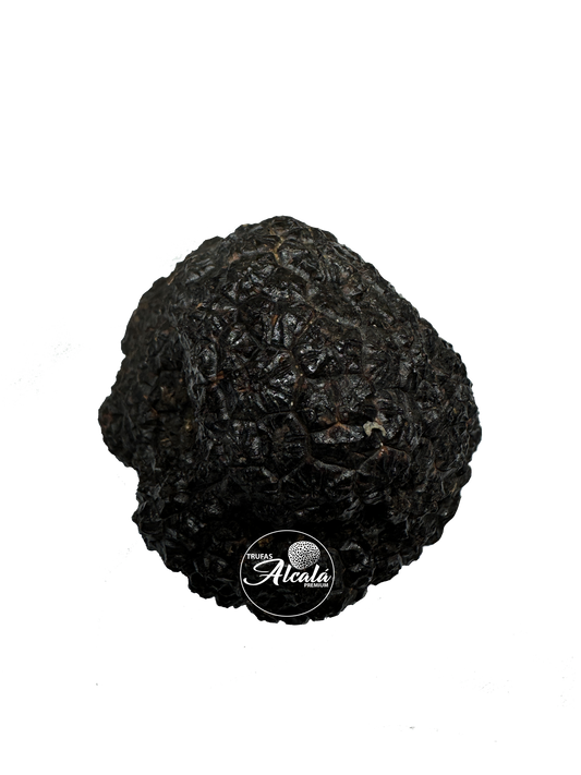 TRUFA NEGRA 50 GR